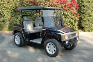 affordable golf cart rental, golf cart rent tallahassee