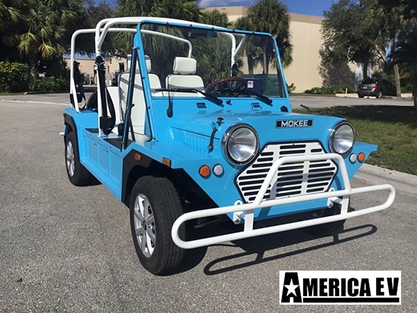 affordable golf cart rental, golf cart rent tallahassee