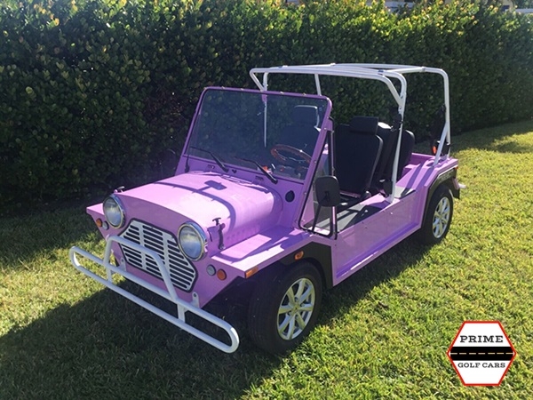 affordable golf cart rental, golf cart rent tallahassee